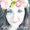 Photo of Xiomara S.