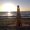 Photo of Andreina R.