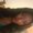 Photo of Brianna S.