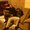Photo of Andy C.
