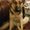 Photo of Debby R.