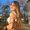Photo of Michelle K.