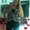 Photo of Donielle S.
