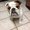 Photo of Bella B.