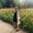 Photo of Madi S.