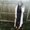 Photo of Maham M.