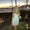 Photo of Lexi K.
