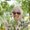 Photo of Samantha G.