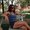 Photo of Camila D.