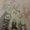 Photo of Sheri Y.