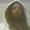 Photo of Tasia E.