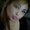 Photo of Percilla M.