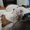Photo of AlynEmmy S.