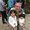 Photo of Ana G.