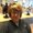 Photo of Robyn S.