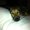 Photo of Edw. B.