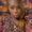Photo of Melonie S.