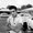 Photo of Elvis P.
