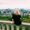 Photo of Vanessa T.