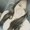 Photo of Lisbeth G.