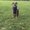 Photo of Tracie J.