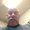 Photo of Basil R.