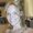 Photo of Candice M.