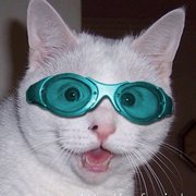 google avatar