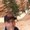 Photo of Rob N.
