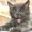 Photo of Qype User (mille7…)