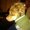 Photo of Kathy N.