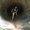 Photo of Anna M.