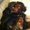 Photo of Cityvox User (cather…)