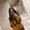 Photo of Ameerah A.