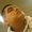 Photo of Mario G.