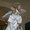 Photo of Qype User (curlyc…)