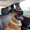 Photo of Evie D.