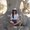 Photo of Cindy A.