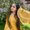 Photo of Arooba L.