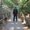 Photo of Kamran C.