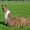 Photo of Qype User (chac29…)