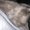 Photo of Chesney D.