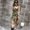 Photo of Liah A.