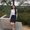 Photo of Darlene N.