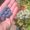 Photo of Peter J.