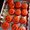 Photo of Macaroon Lady P.