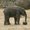 Photo of Rajit S.