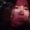 Photo of Alondra A.