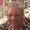 Photo of Sharon N.
