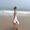 Photo of Meghan J.